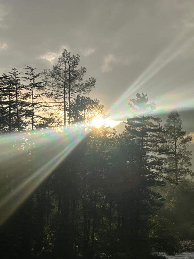 Shanti Cafe & Hostels Kasol Dış mekan fotoğraf